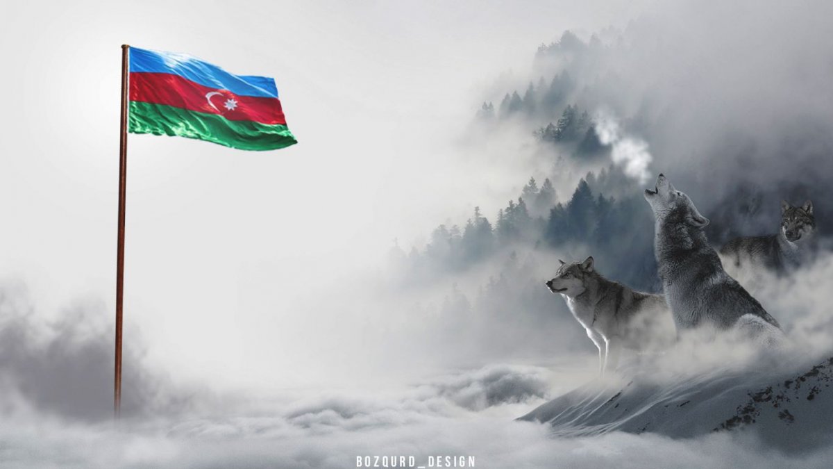 Волк Минимализм