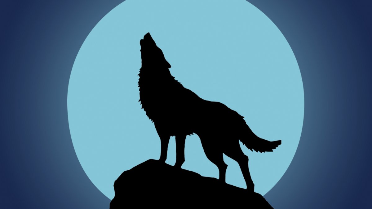 Волк картинка для детей