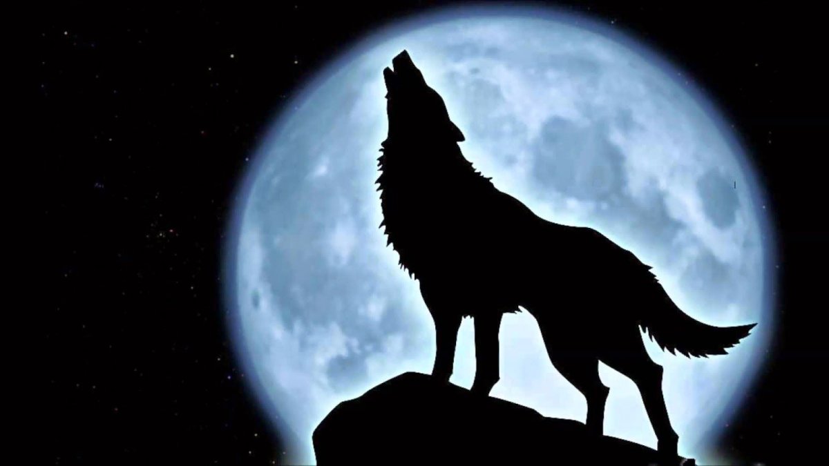 Moon Wallpaper Full HD Black Wolf
