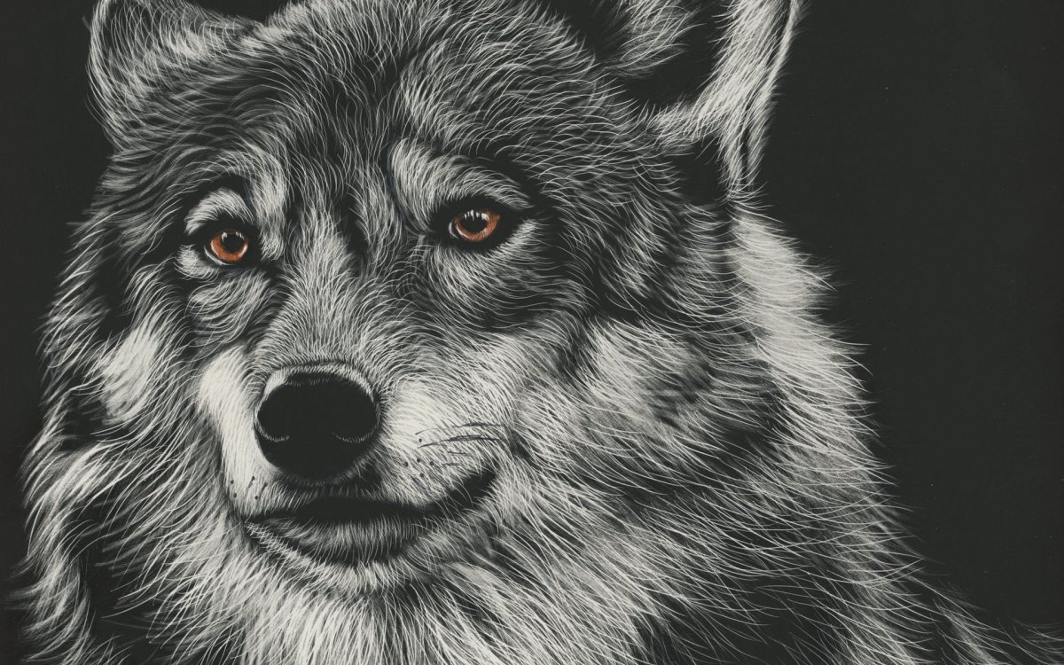 Воющий волк