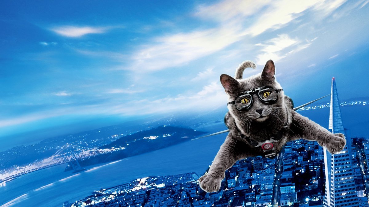 Живые обои кот