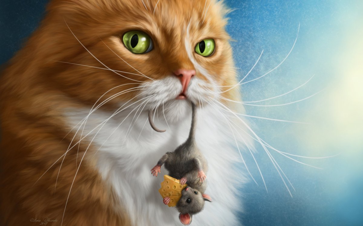 Обои на рабочий стол рыжий кот