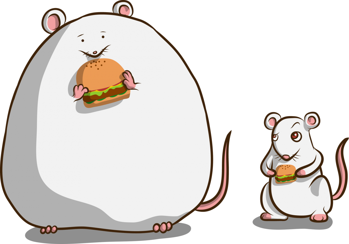 Жир мыши. Толстая мышка. Толстый мышонок. Мультяшные хомячки.