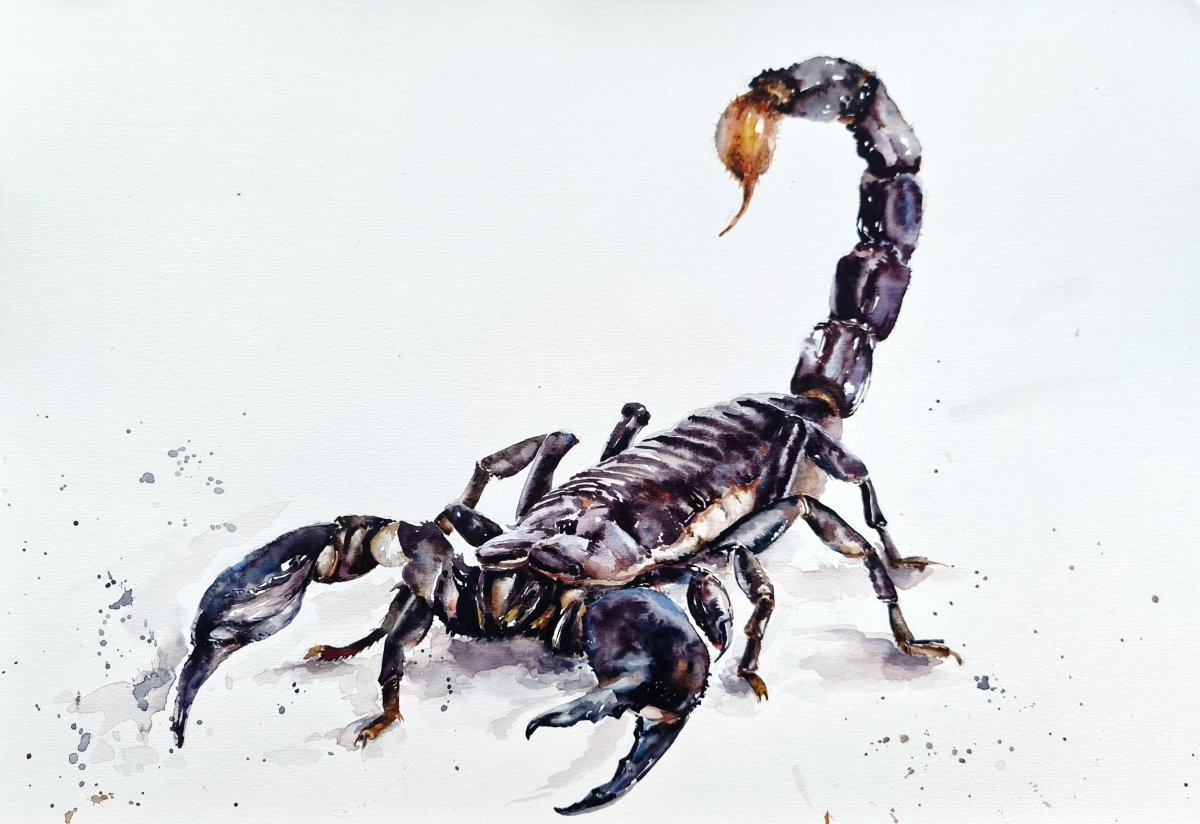 Скорпион гигант арт