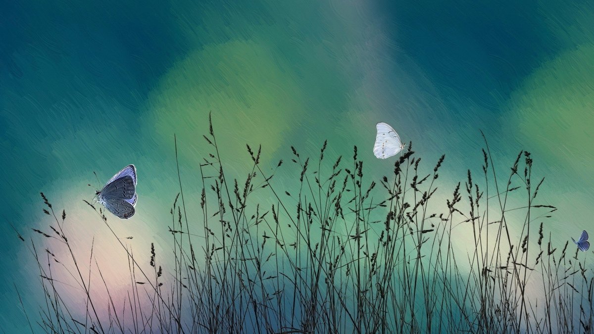 Желтый фон с бабочками