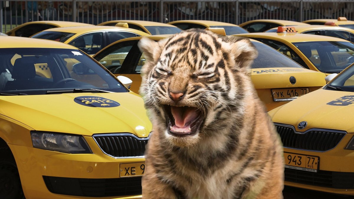 Тигровая машина