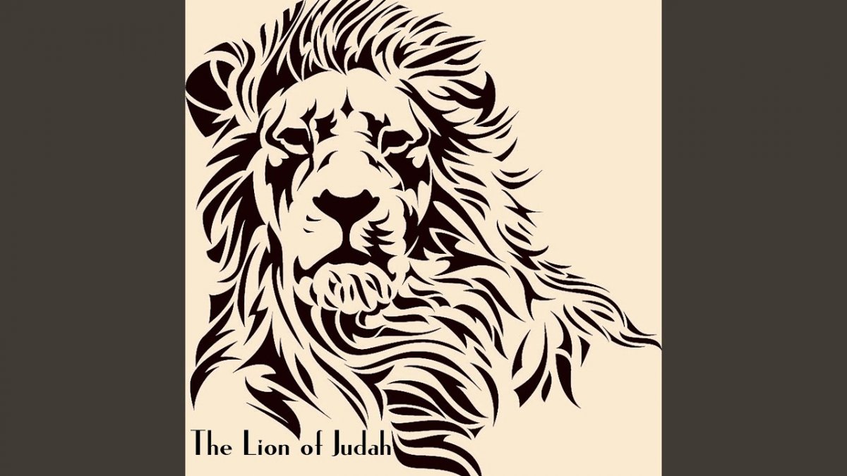 Футбольная команда со львом на логотипе