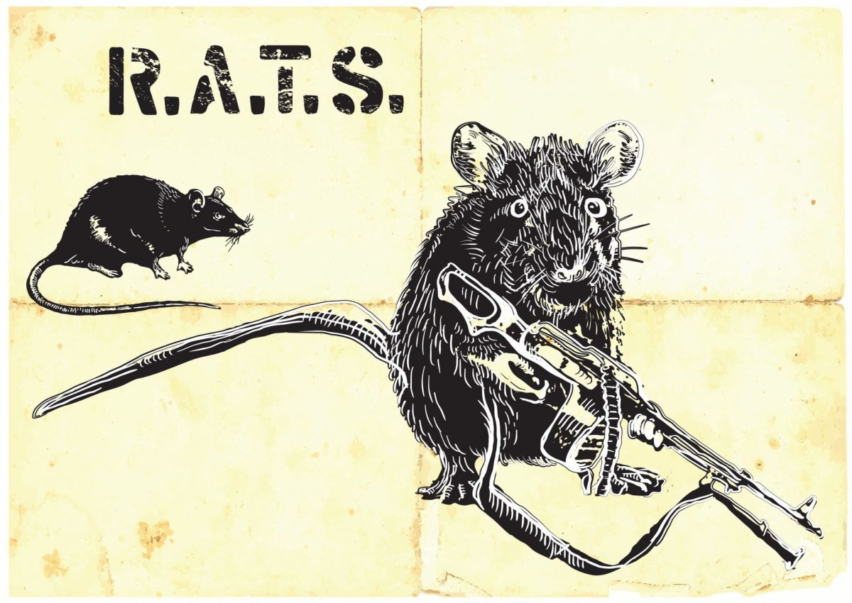 Крыса с оружием