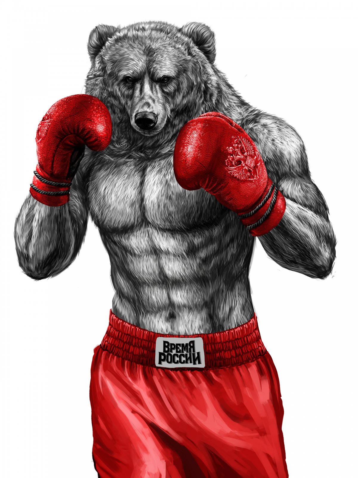 Медведь боксер