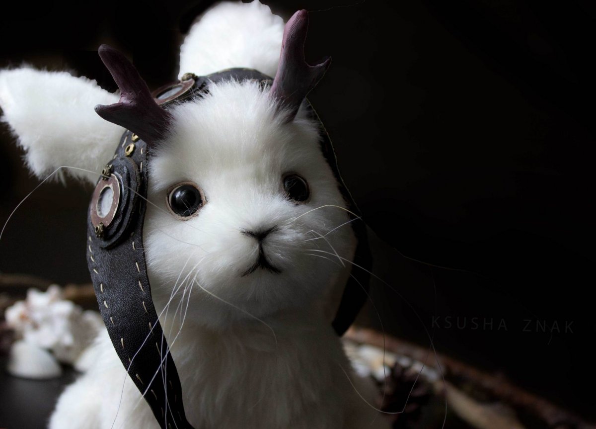 Кролик с рогами
