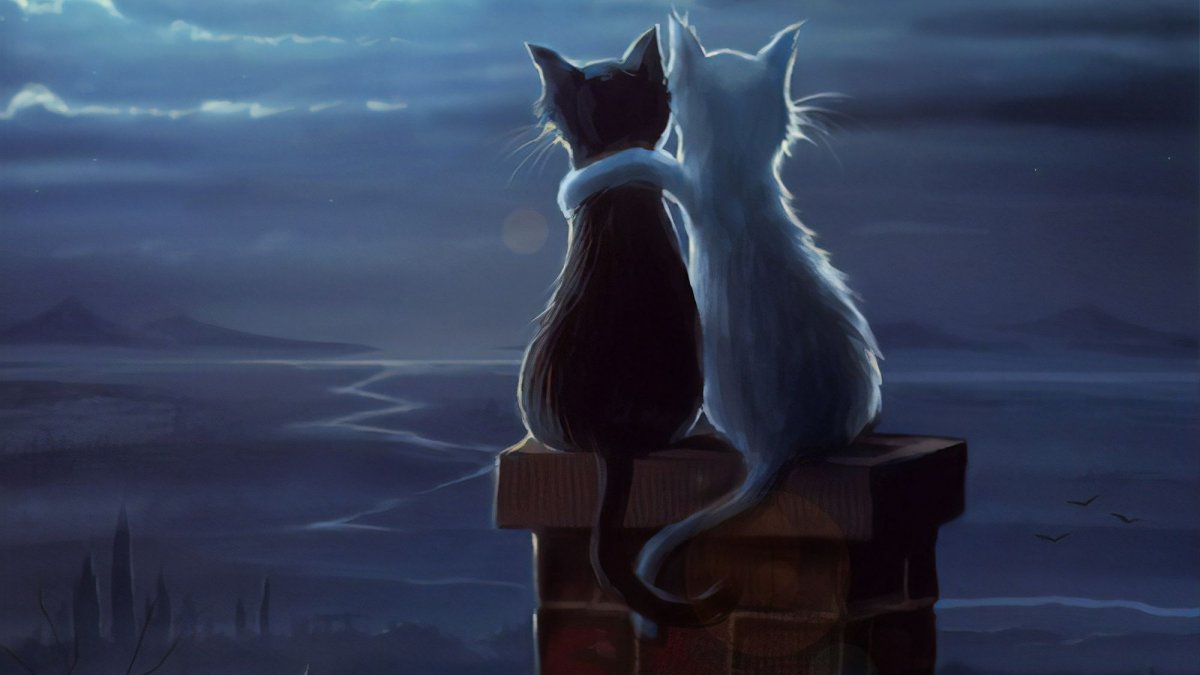 Кот и кошка на крыше арт
