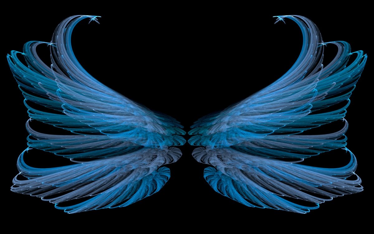 Крылья Эстетика