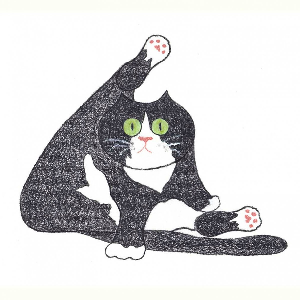 Смешной кот рисунок черно белый