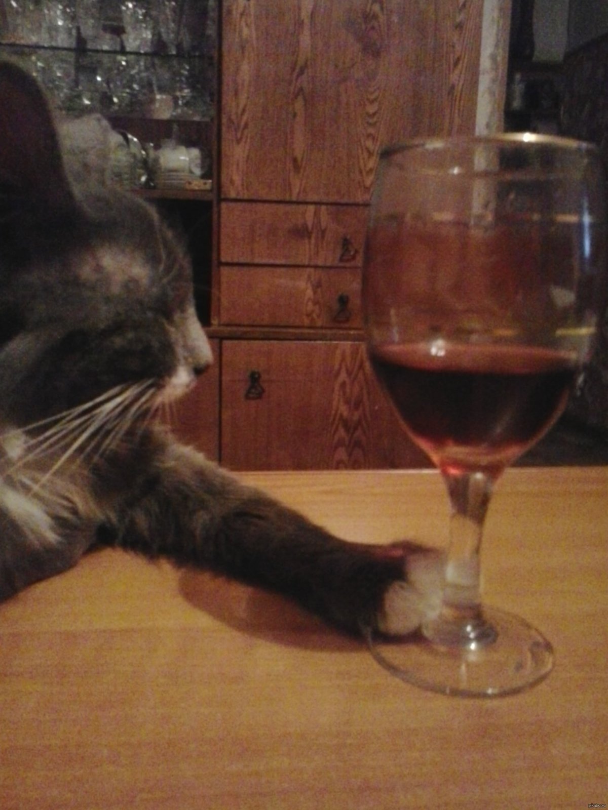 Чуть чуть вина. Вино котэ.