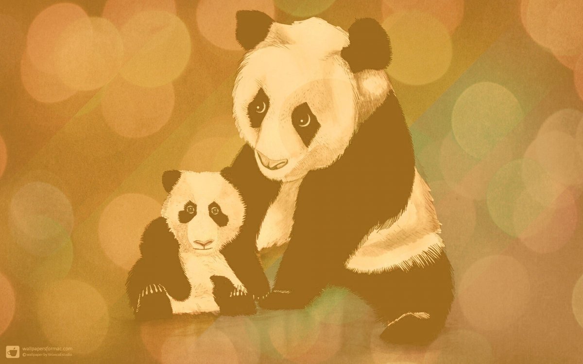 Обои Панда красивые милые