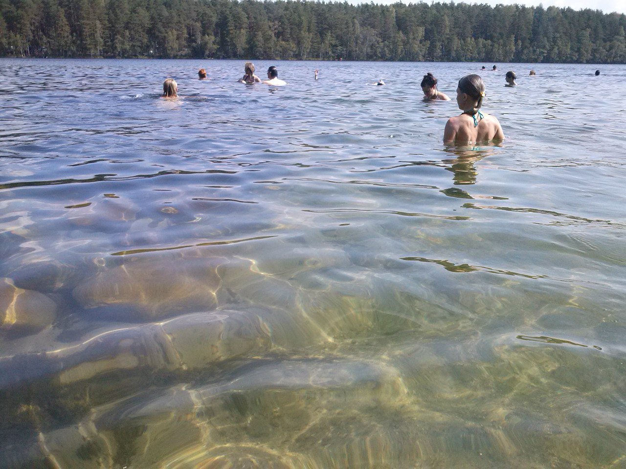 Самое прозрачное озеро в Ленинградской области
