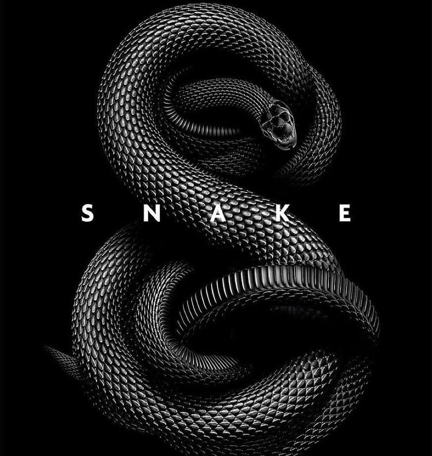 Черная змея год. Блейк Снейк чёрная змея. Кобра черная мамба. Змеи на заставку. Змея на черном фоне.