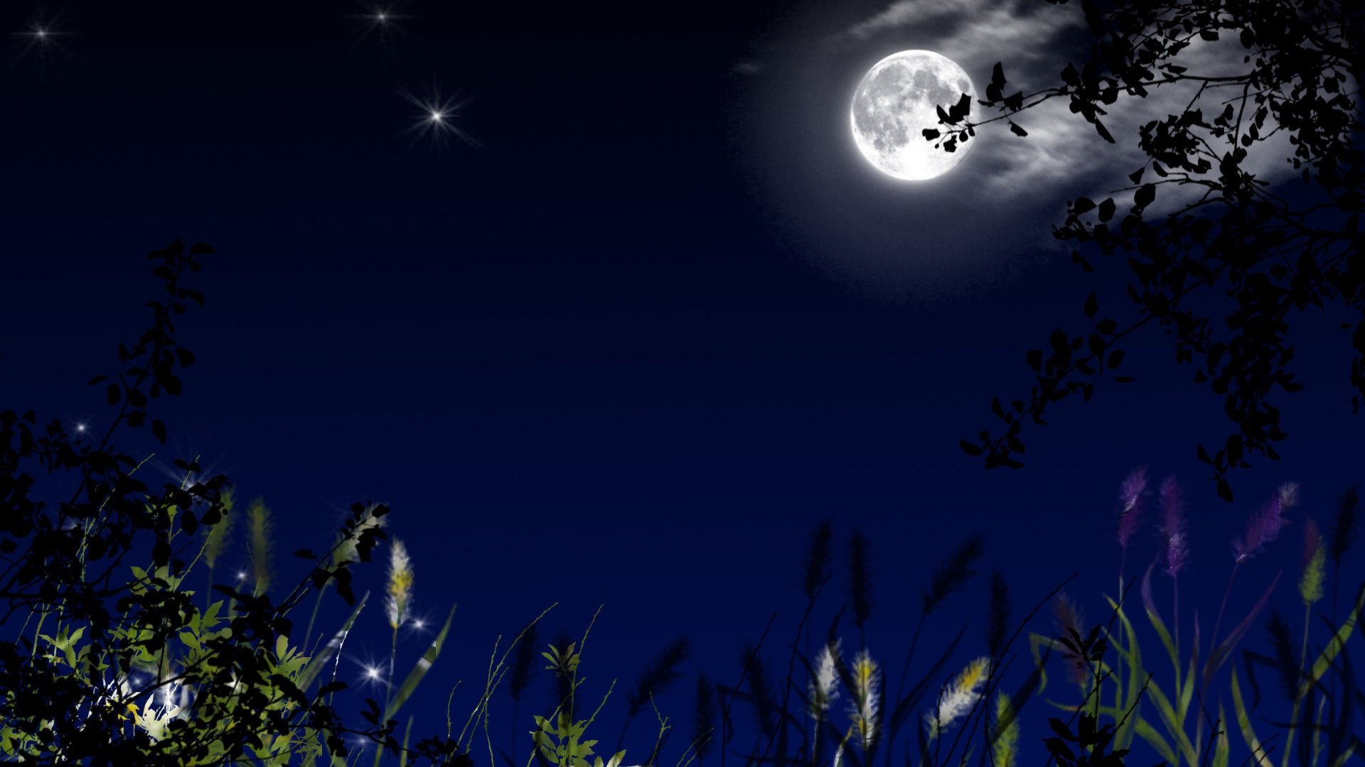 Звук летней ночи. Луна на небе. Ночь Луна звезды. Фон ночь. Фото ночь Луна.