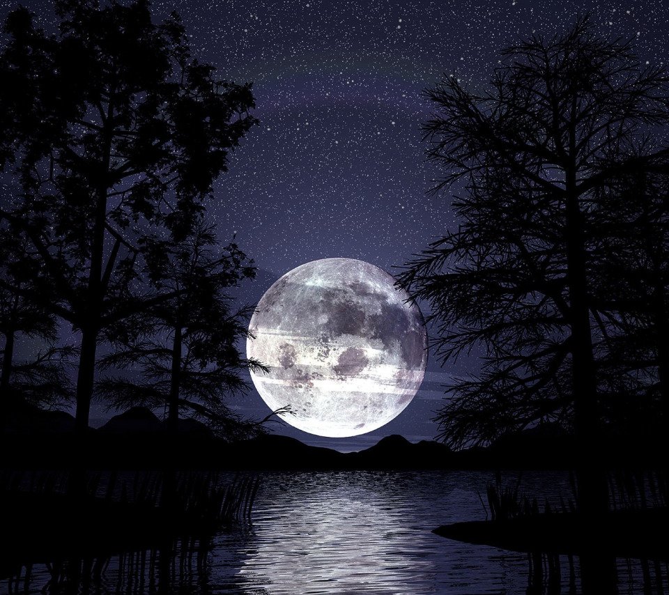 Обои ночь луна