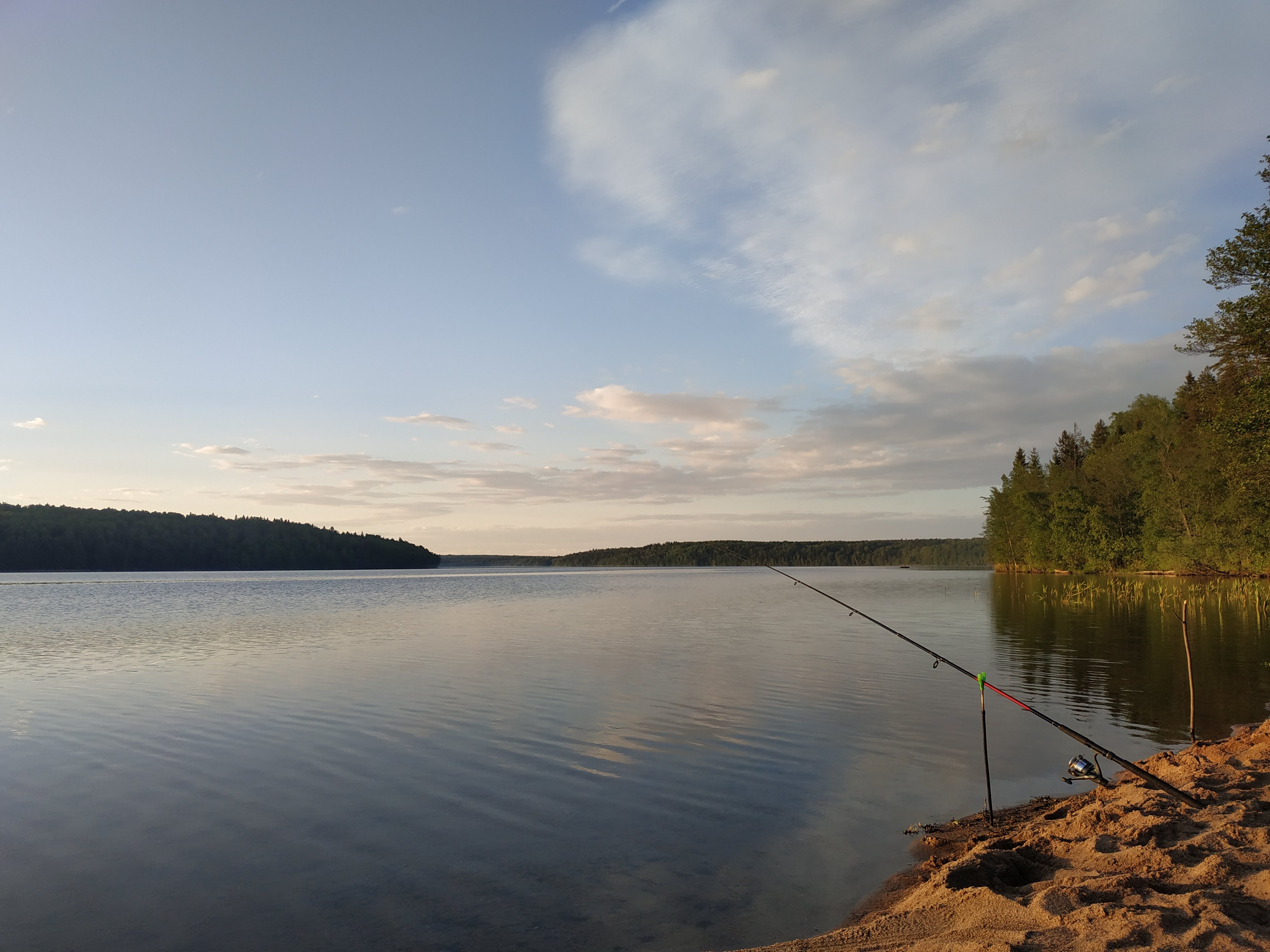 Озеро глубокое рыба. Озеро глубокое Кингисеппский район. Озеро глубокое Ленинградская область. Озеро глубокое Кингисеппский район рыбалка.