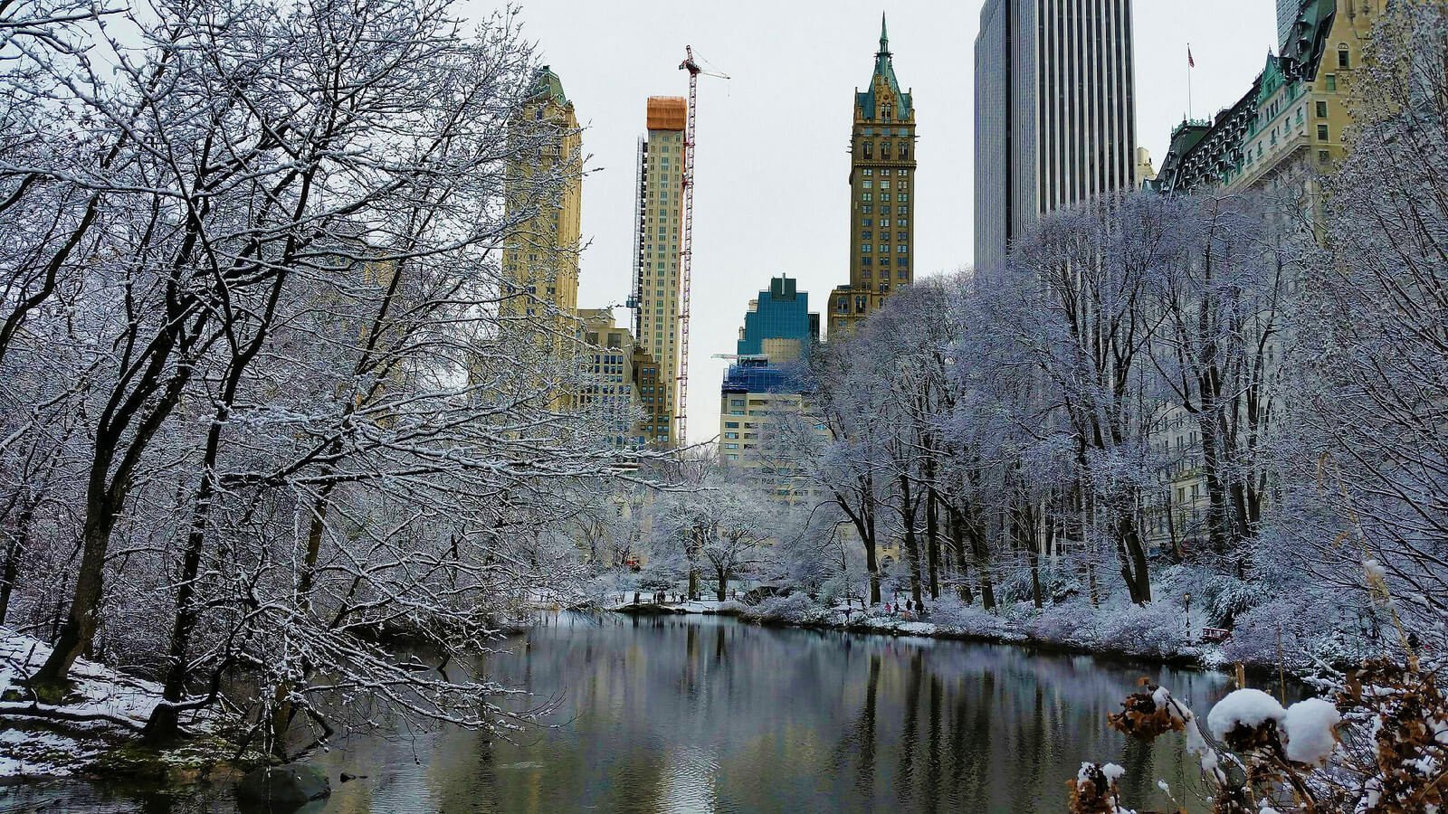 Америка зимнее время. Централ парк Нью Йорк зима. Рочестер штат Нью-Йорк. Центральный парк Нью-Йорк зимой. Климат Нью-Йорка.