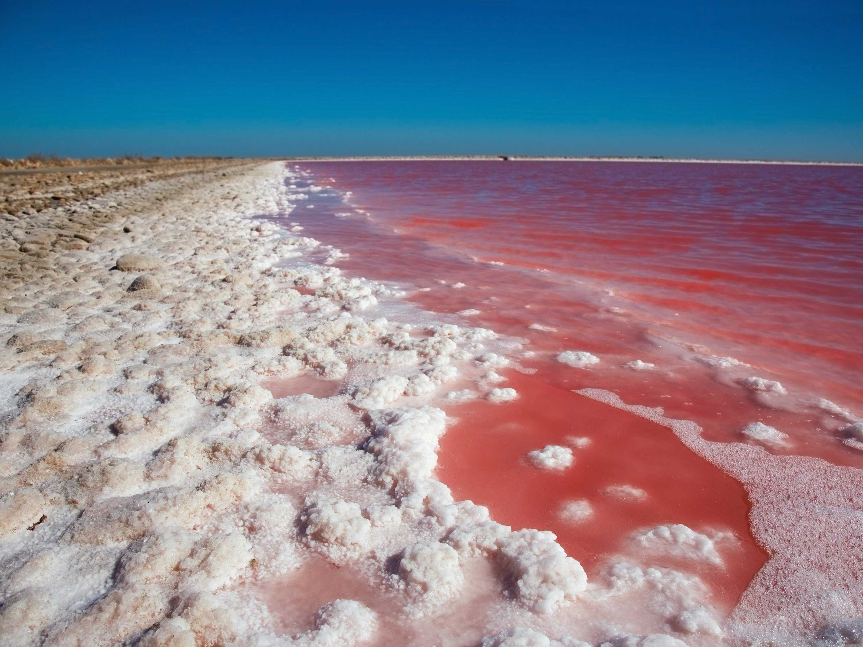 В австралии есть озера. Озеро Хиллер (остров Миддл). Розовое озеро Хиллер Австралия. Озеро Хиллер (hillier), Австралия. Розовое озеро Алтай Яровое.
