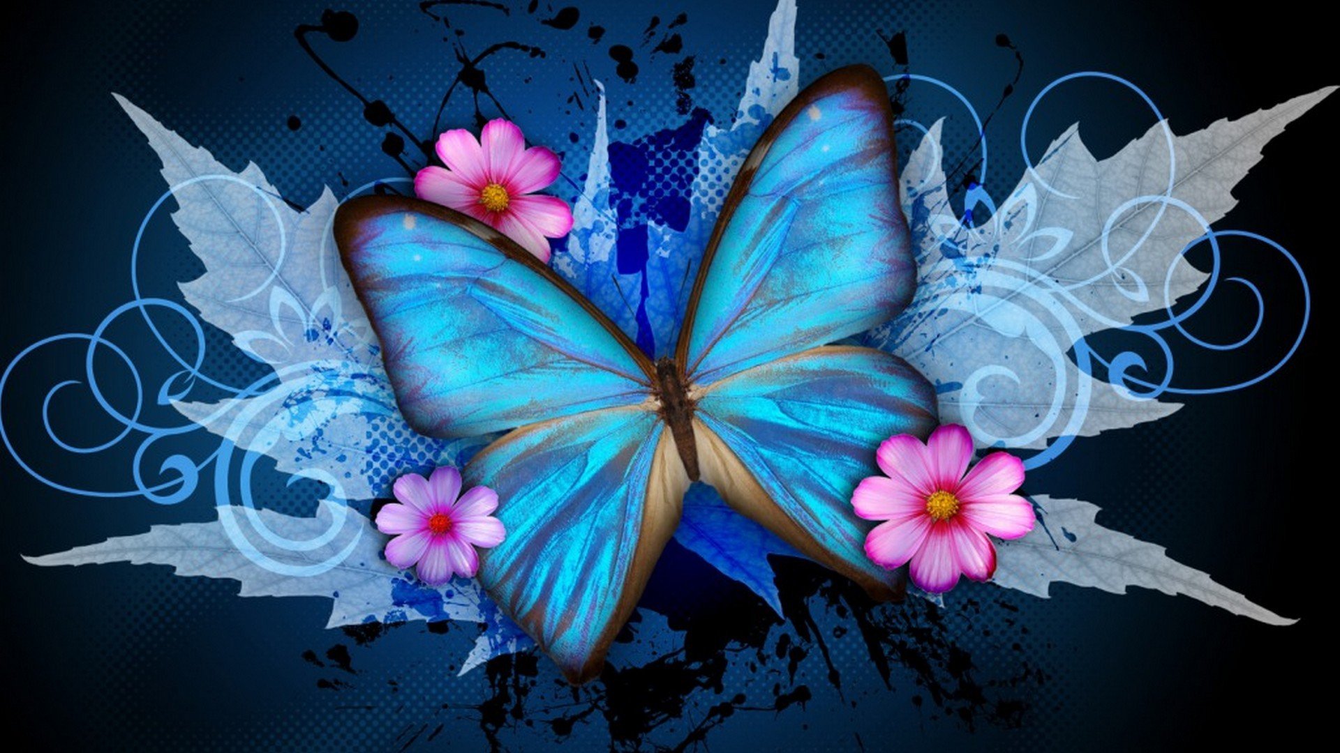 Обложка бабочки