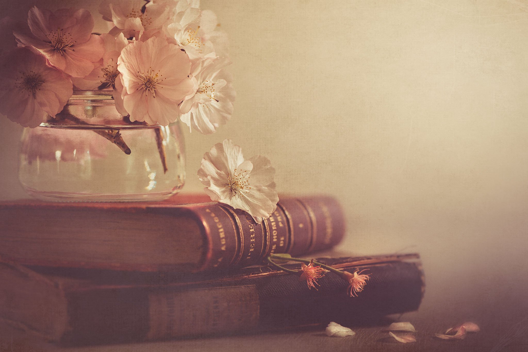 Книга цвет жизни. Фон для писателя. Красивый фон с книгами. Книга цветы. Цитаты на красивом фоне.