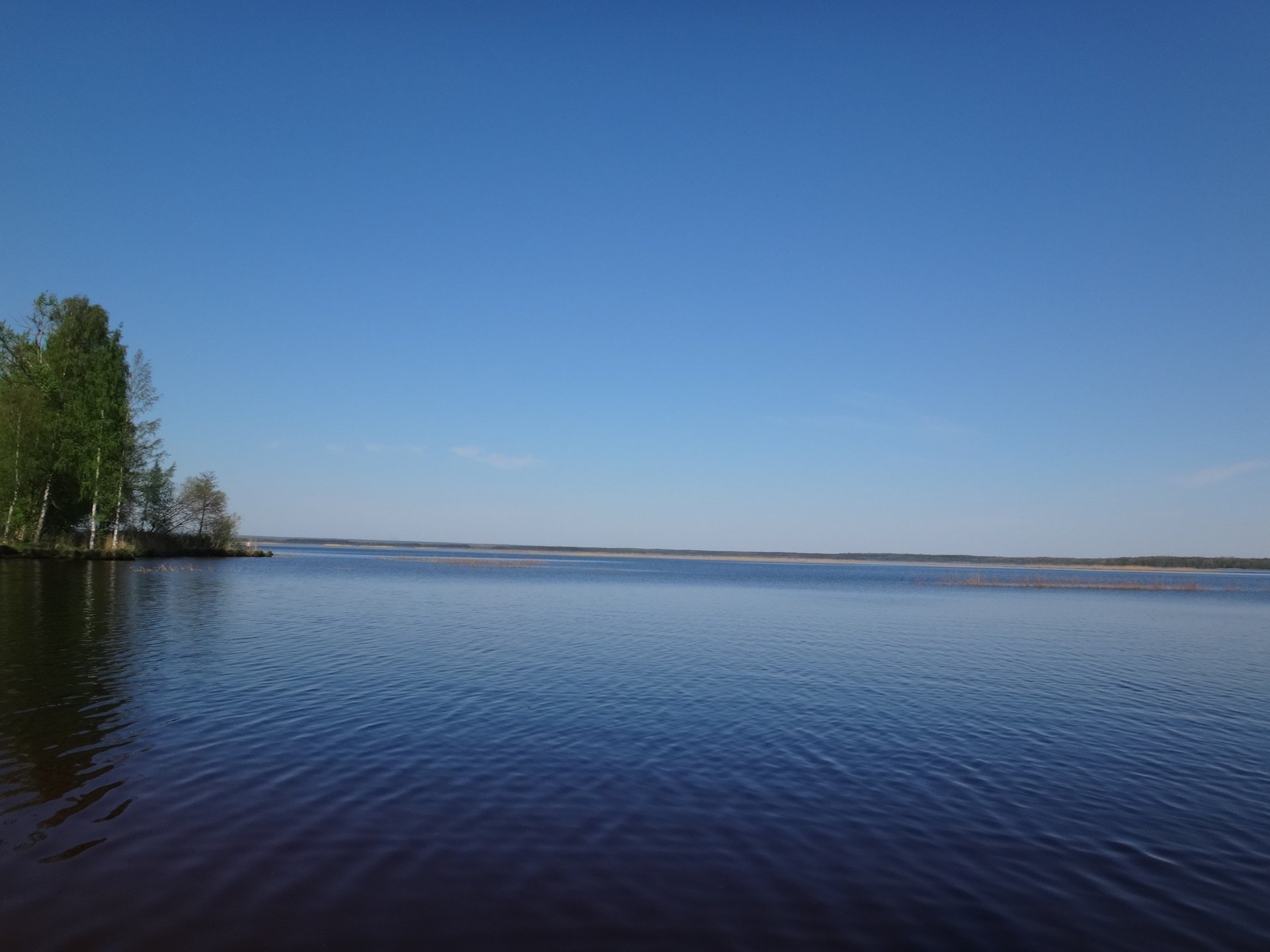 Озера разлив реки. Озеро Сестрорецкий разлив. Озеро Лахтинский разлив. Озеро Каллеловский разлив. Озеро Сестрорецкий разлив пляж.