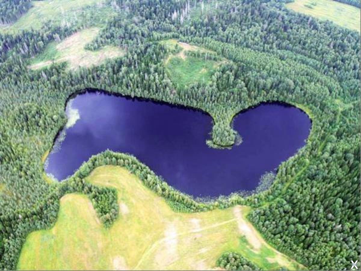 Чем его удивило озеро. Бросно озеро Тверская область. Озеро Бросно чудовище. Озеро Бросно в Тверской области чудовище. Андреаполь озеро Бросно.