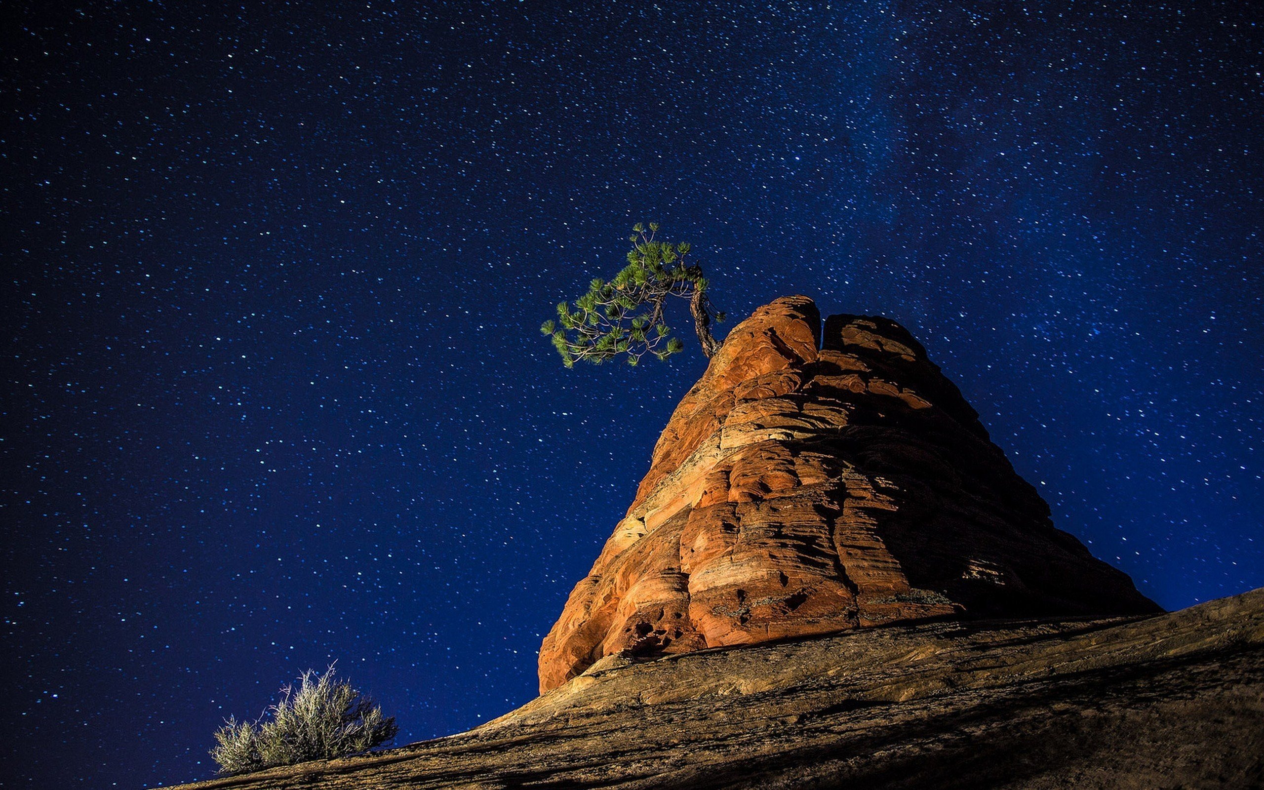 Холм ночью. Горы ночью. Звездное небо в горах. Одинокое дерево на скале. Звездное небо скалы.
