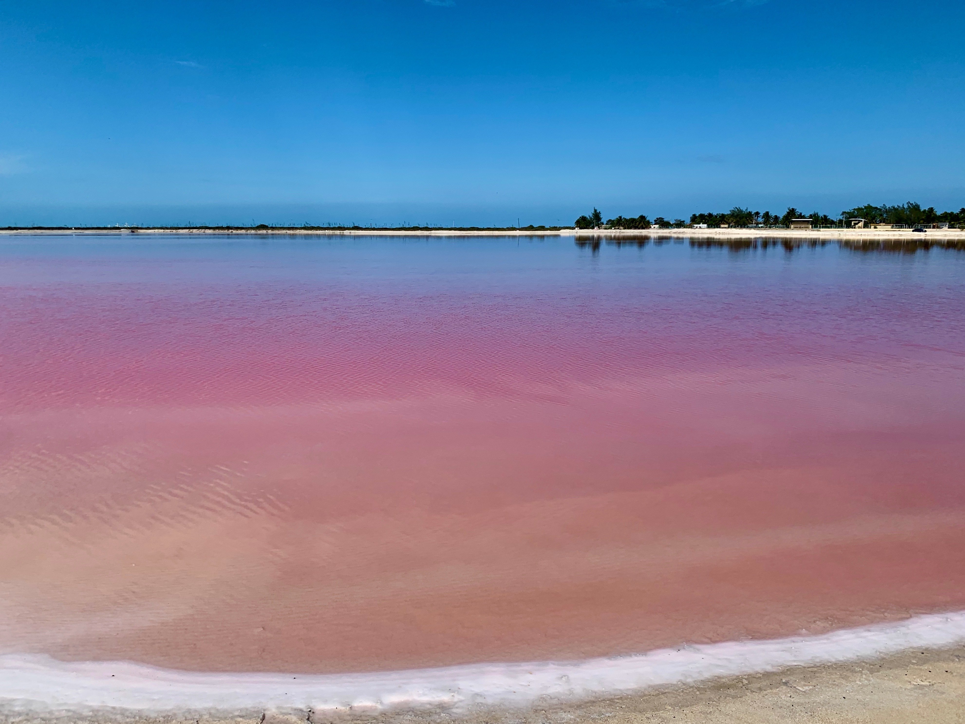 Розовое озеро яровое. Рио Лагартос розовое озеро. Лас-Колорадас Юкатан Мексика. Яровое соленое озеро. Озеро Лас Колорадас.