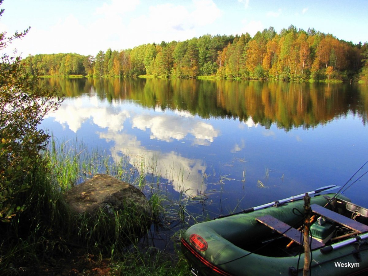Рыболовный в озерах. Природа рыбалка. Красивые места для рыбалки. Рыбалка на озере. Рыба в озере.