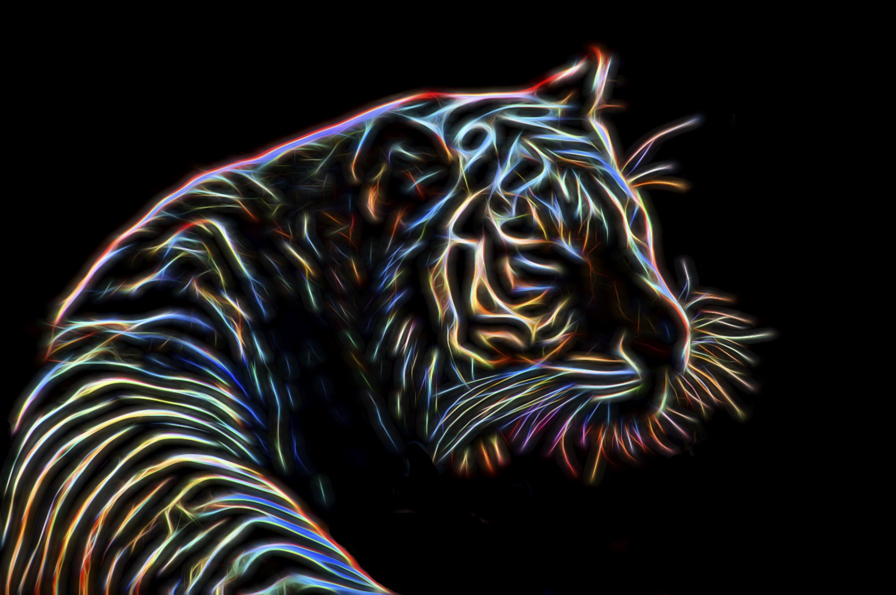 Красивый тигр неон