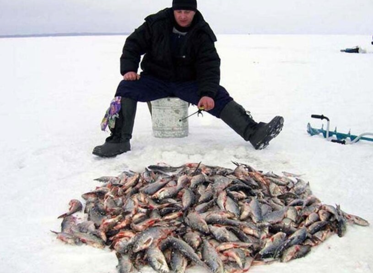 Ладога клев. Зимняя рыбалка. Улов рыбы. Рыбаки на льду. Зимняя ловля рыбы.