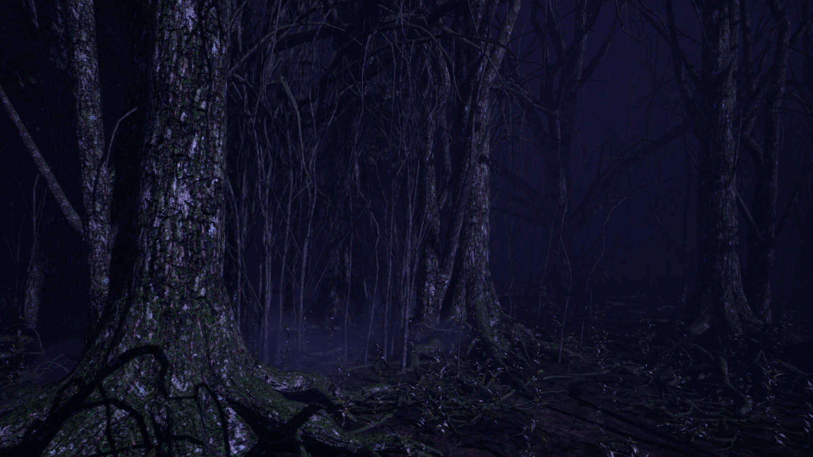 Игры страшный лес. Мрачный лес. Темный лес. Мрачный фон. Темный лес арт.