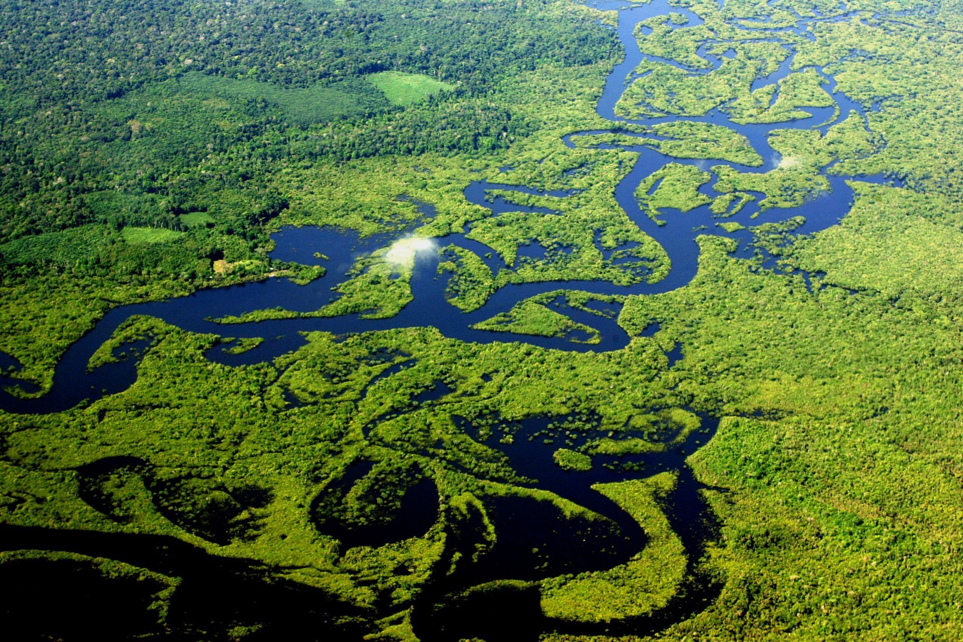 Самая северная река в мире. Амазония река Амазонка. Южная Америка бассейн амазонки. Дельта реки Амазонка. Амазонка река Укаяли.