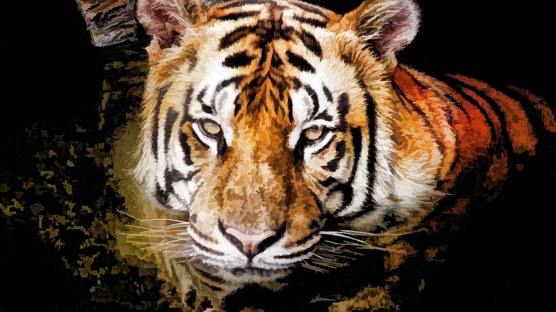 Красивая живой тигр