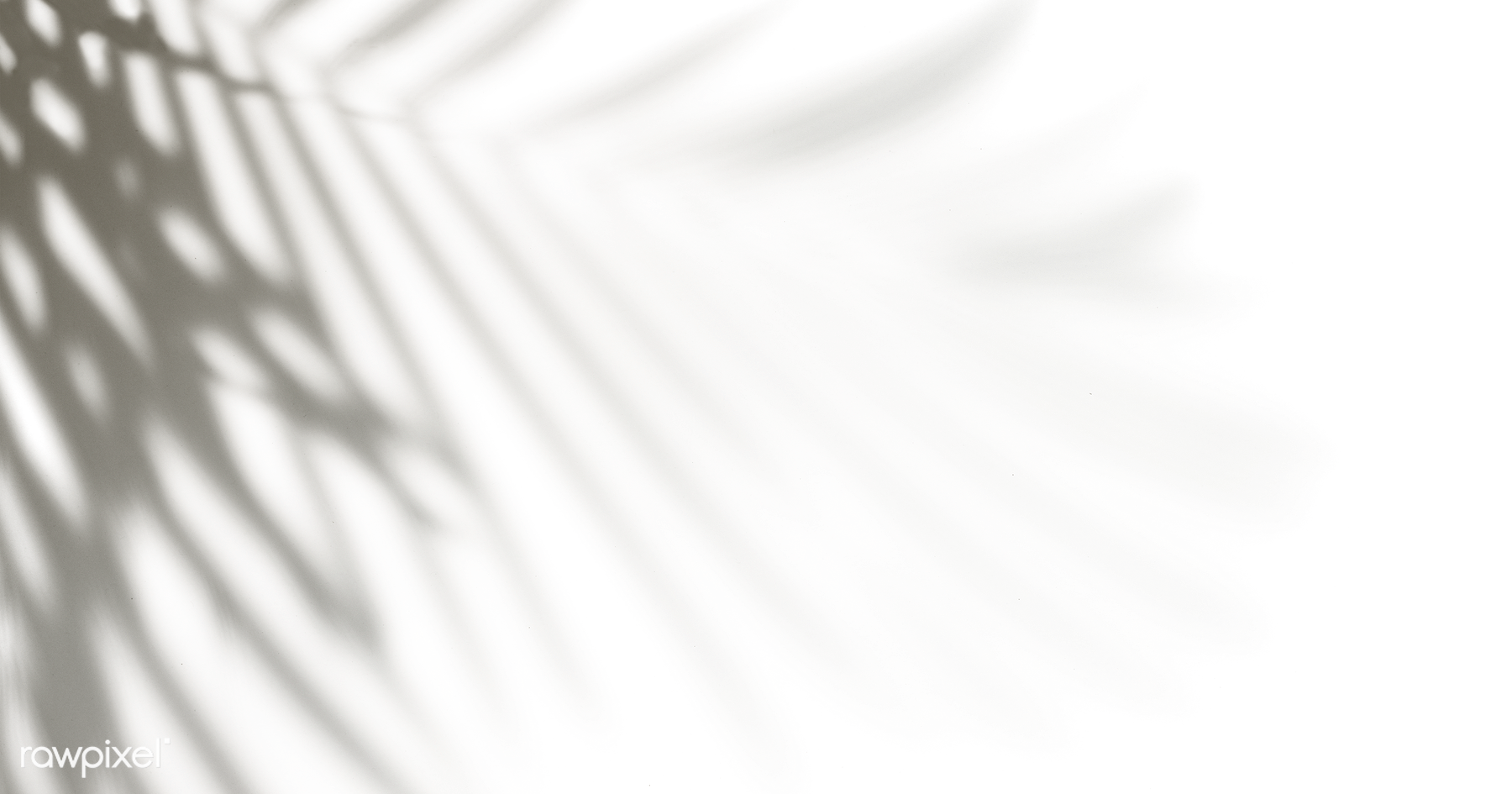 Белый фон с тенью - 64 фото