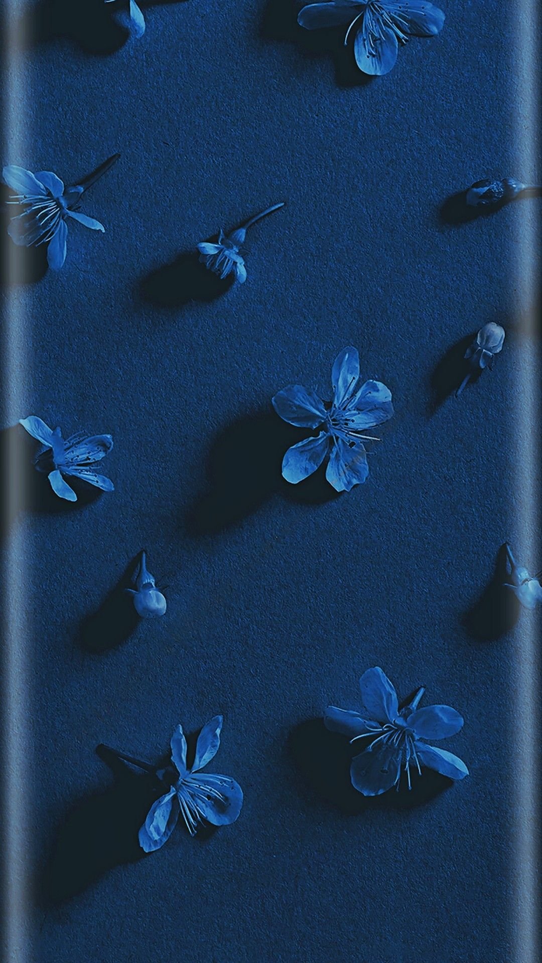 Синий цвет обои на телефон - 72 фото