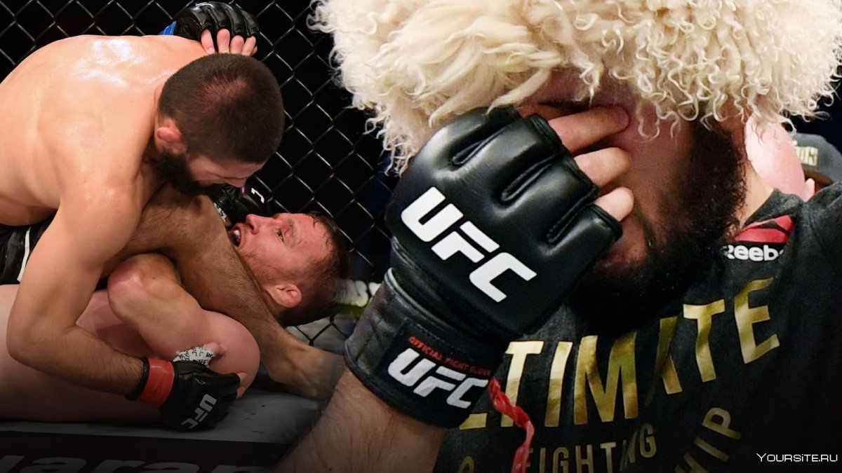 Бой Хабиба и Дастина Порье