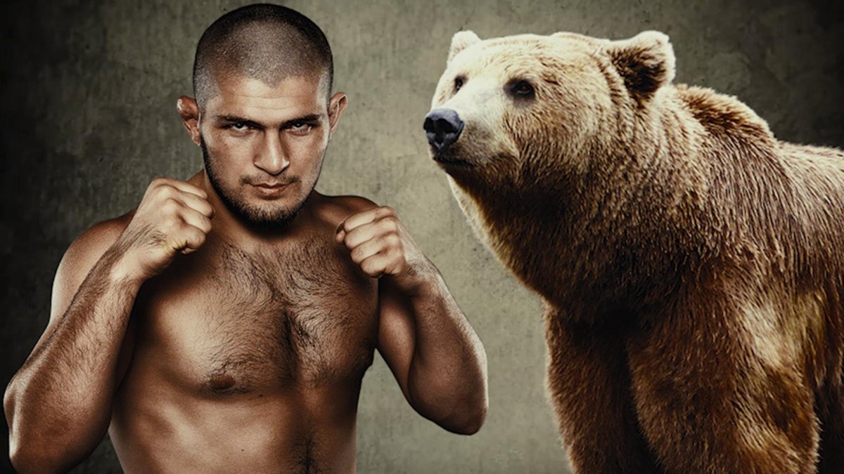 Хабиб Нурмагомедов Постер