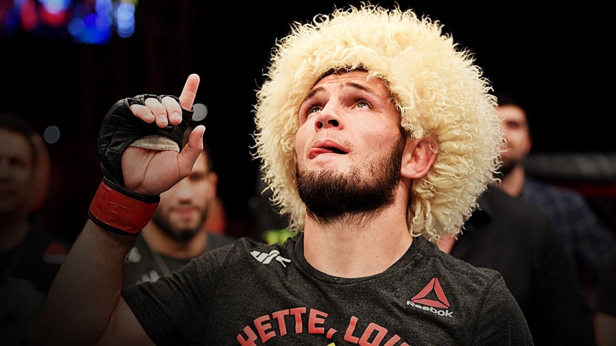 Хабиб 2014 год