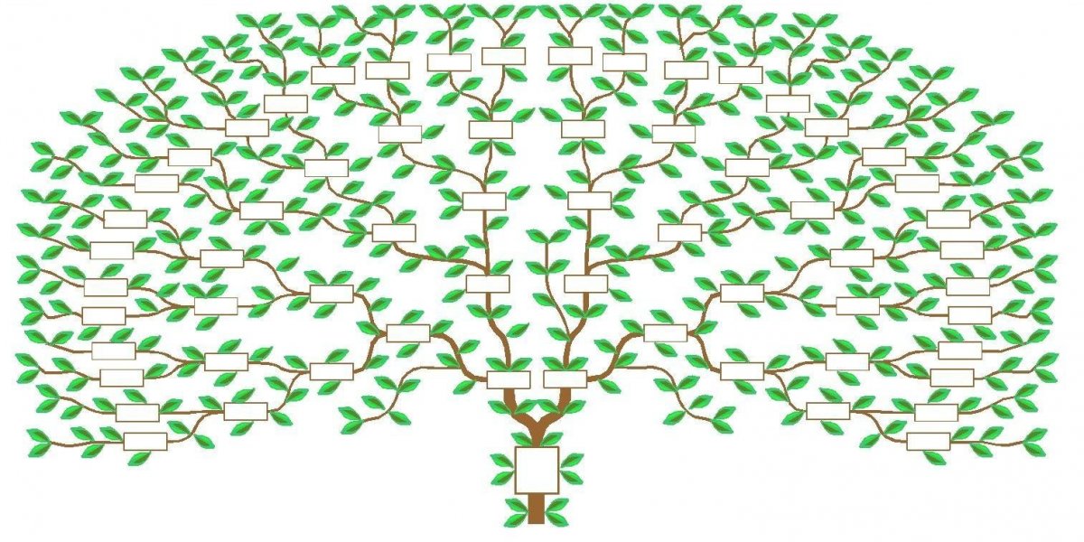 Построить Древо до 7 колена шаблон