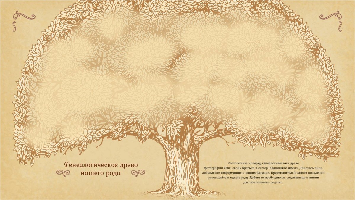 Фон для родословной