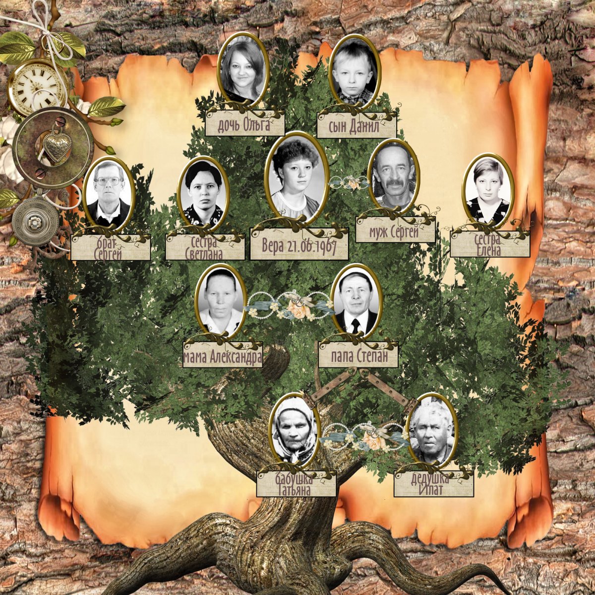 Зеленое родословное дерево на прозрачном фоне