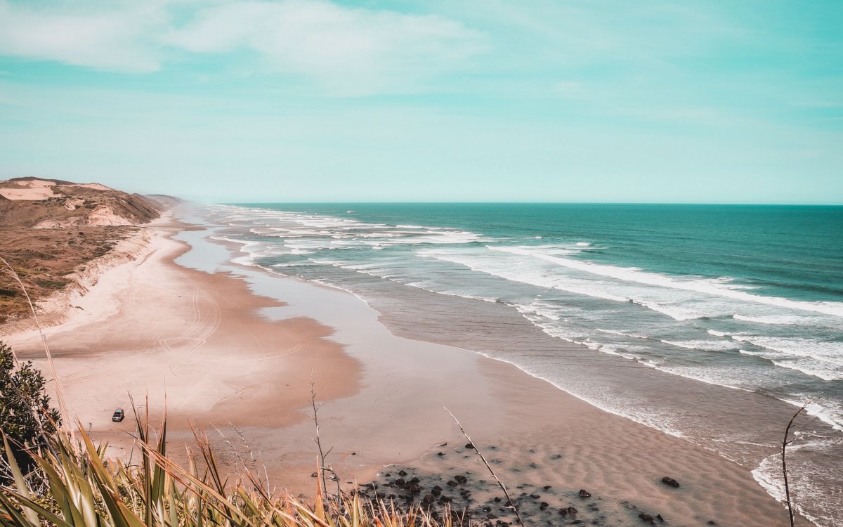 Пальмы пляж закат