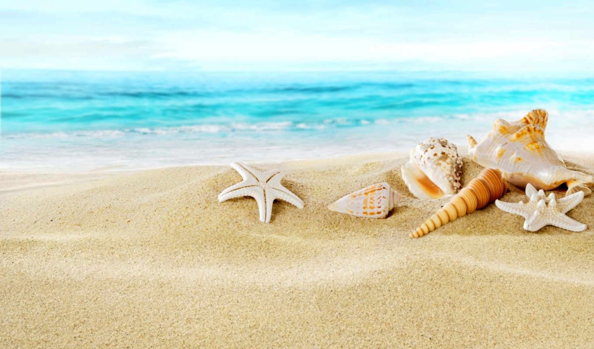 Море светлое