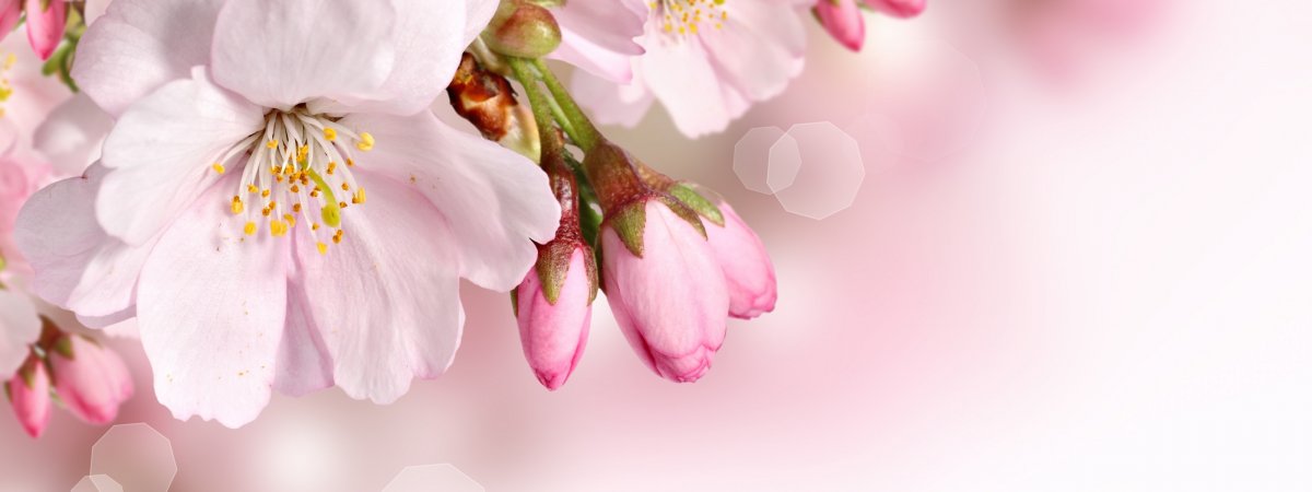 Обложка Весна