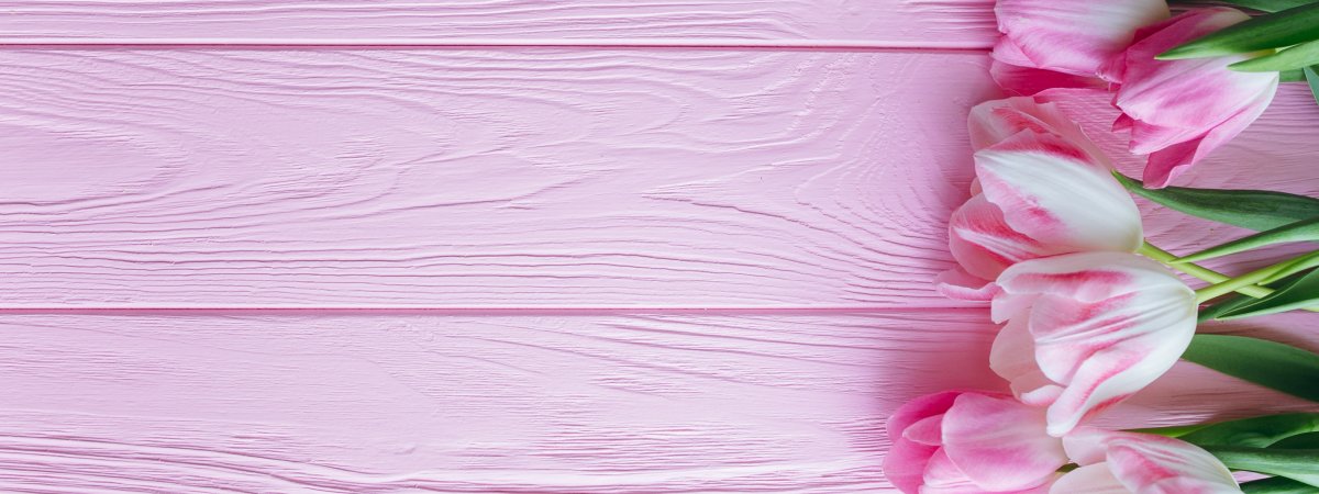 Розовые тюльпаны